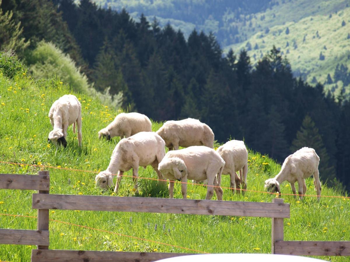 Agriturismo Maso Pertener -Adults Friendly- Comano Terme Exteriör bild